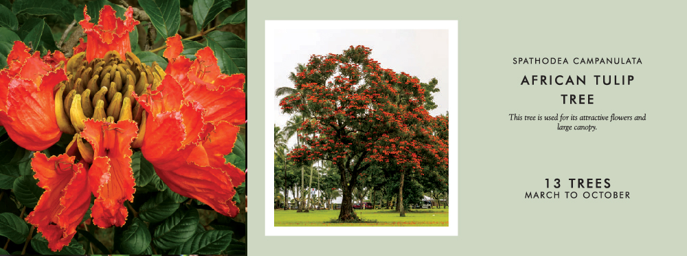 Rustomjee Crown Podium Trees