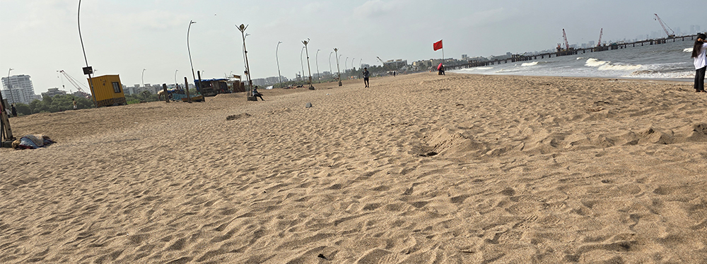 Versova Beach Cleanup