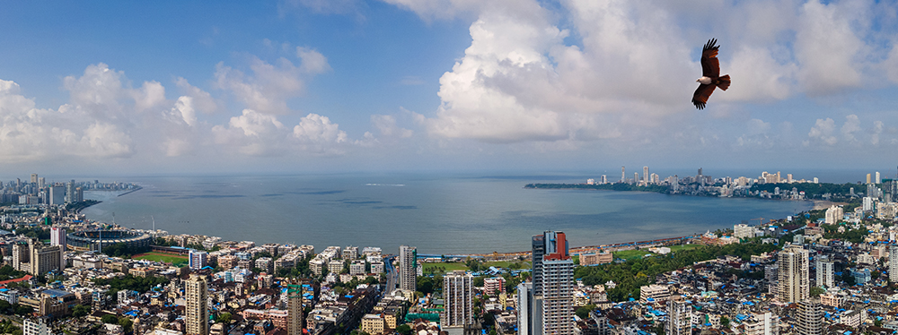 Luxury Sea View Flats in Bandra