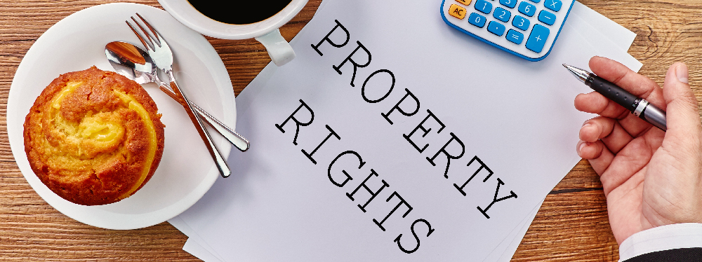 TDR (Transferable Development Rights) in Real Estate