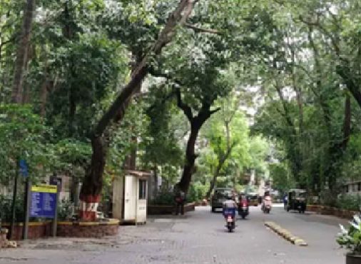 Bandra Pali Hill’s Architectural Grandeur: A Walk Through the Neighbourhood