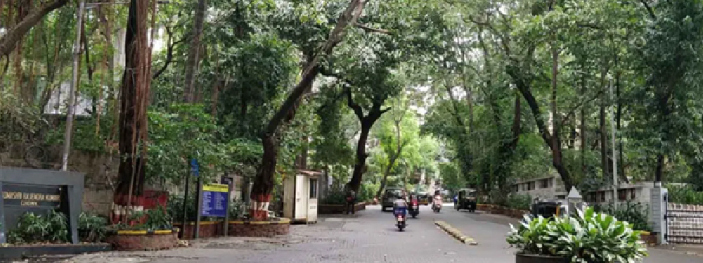 Bandra Pali Hill