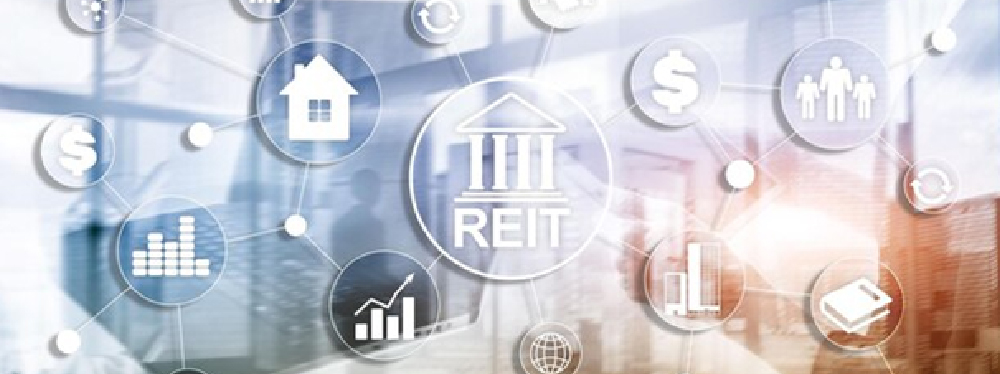 Second Homes vs. REITs